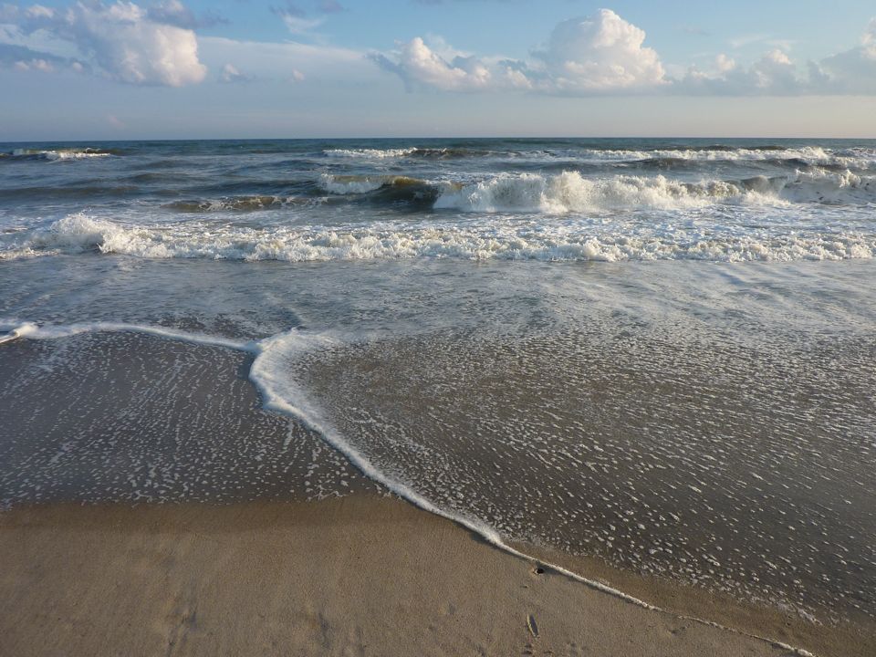 P1040172.JPG