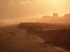 Beach Mist