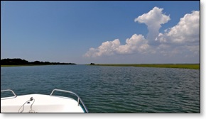 hammocksbeachmarshes