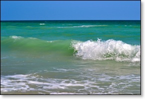 wave