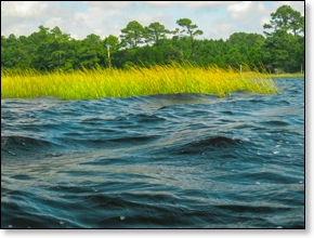 wavesontheriver280