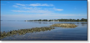 bytheoysterrocks280