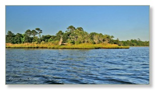 ontheriverwm
