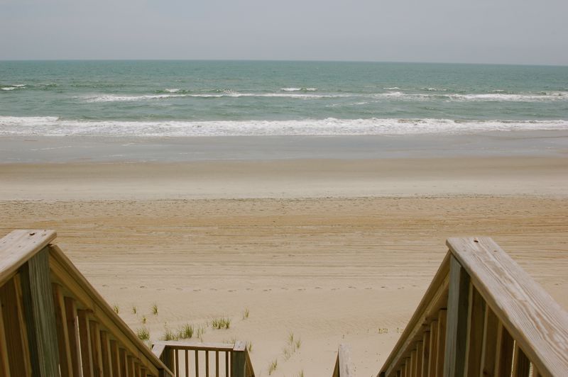 NiceBackyard.JPG