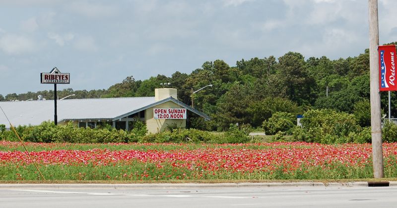 Intersectionflowers.JPG