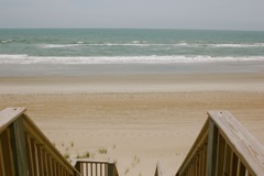 NiceBackyard.JPG