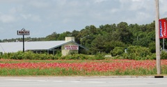 Intersectionflowers.JPG